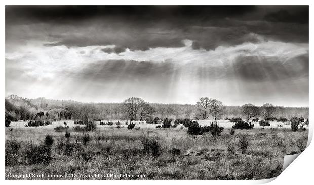 THE BARMING PLAINS Print by Rob Toombs