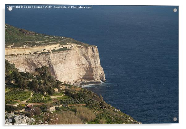 Dingli Cliffs, Malta Acrylic by Sean Foreman