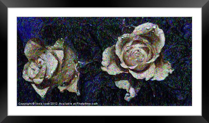 twin roses Framed Mounted Print by linda cook