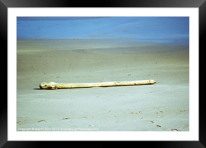 Beach driftwood Framed Mounted Print by Mandy Rice
