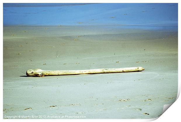 Beach driftwood Print by Mandy Rice