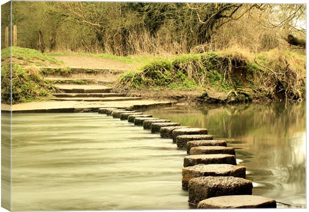 River Mole's stepping stones Canvas Print by Sara Messenger
