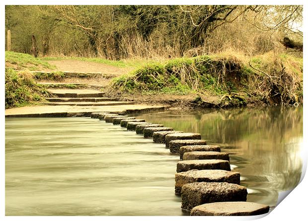 River Mole's stepping stones Print by Sara Messenger