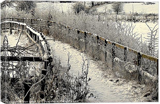 Footpath in Winter Canvas Print by Stan Owen