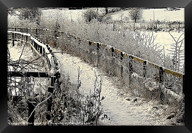 Footpath in Winter Framed Print by Stan Owen