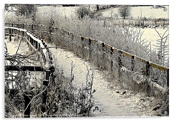 Footpath in Winter Acrylic by Stan Owen