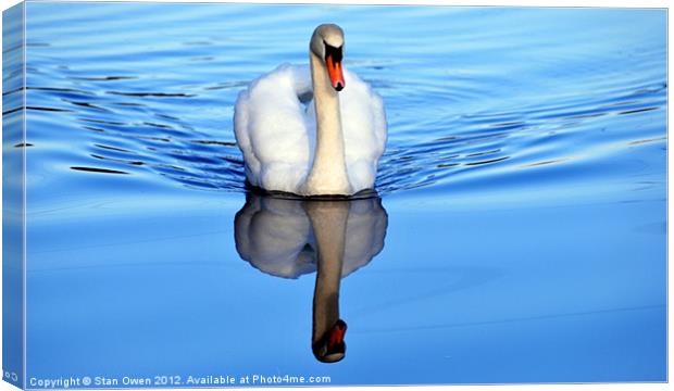 Blue Mirror Swan Canvas Print by Stan Owen