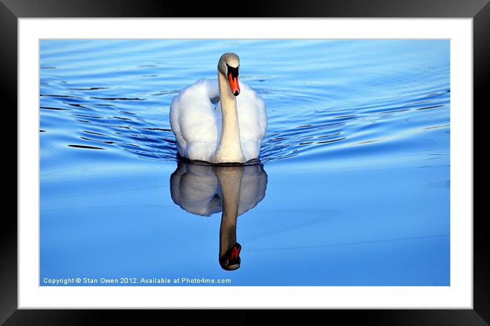 Blue Mirror Swan Framed Mounted Print by Stan Owen