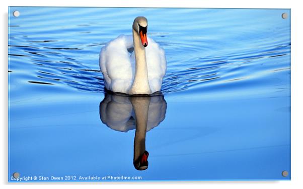 Blue Mirror Swan Acrylic by Stan Owen