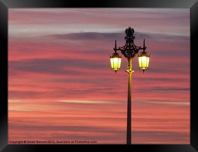 Brighton streetlight sunset Framed Print by Sarah Bonnot