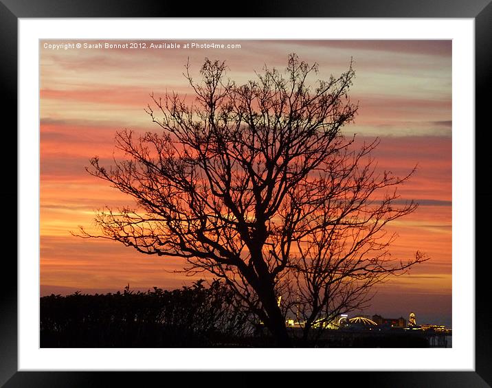 Brighton sunset Framed Mounted Print by Sarah Bonnot