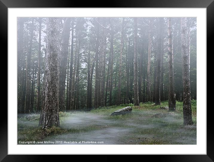 Mysterious Foggy Woodland Scene Framed Mounted Print by Jane McIlroy