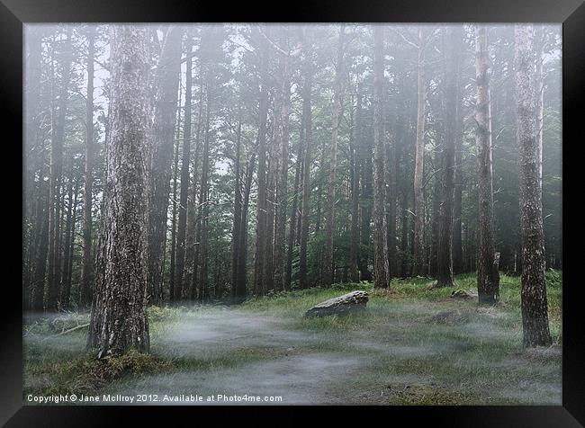 Mysterious Foggy Woodland Scene Framed Print by Jane McIlroy