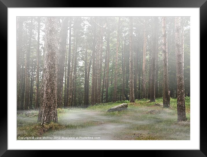 Mysterious Foggy Woodland Scene Framed Mounted Print by Jane McIlroy