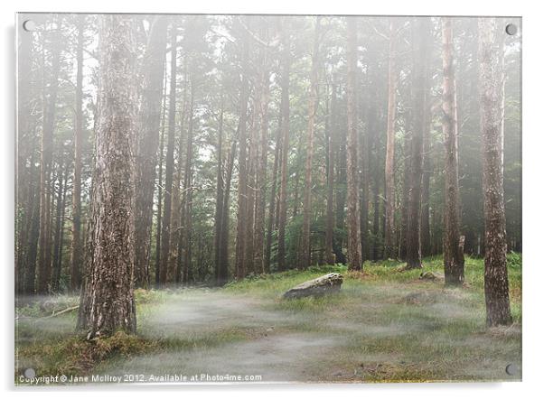 Mysterious Foggy Woodland Scene Acrylic by Jane McIlroy