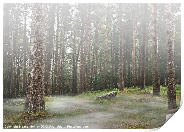 Mysterious Foggy Woodland Scene Print by Jane McIlroy