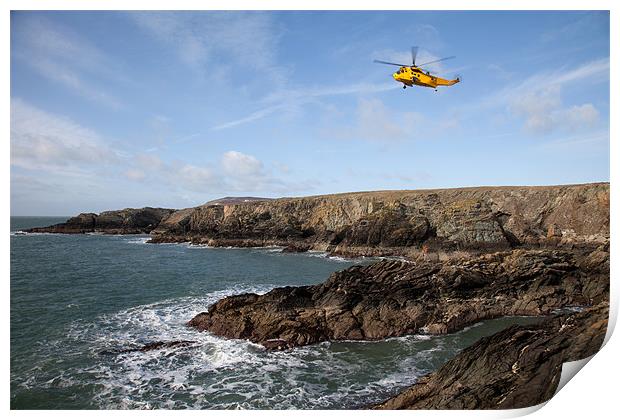 RAF Seaking Print by Gail Johnson