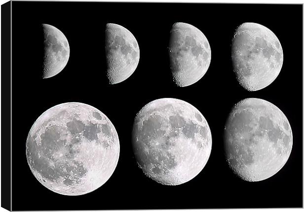 Moon Phases Canvas Print by Joanne Wilde