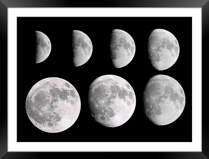 Moon Phases Framed Mounted Print by Joanne Wilde