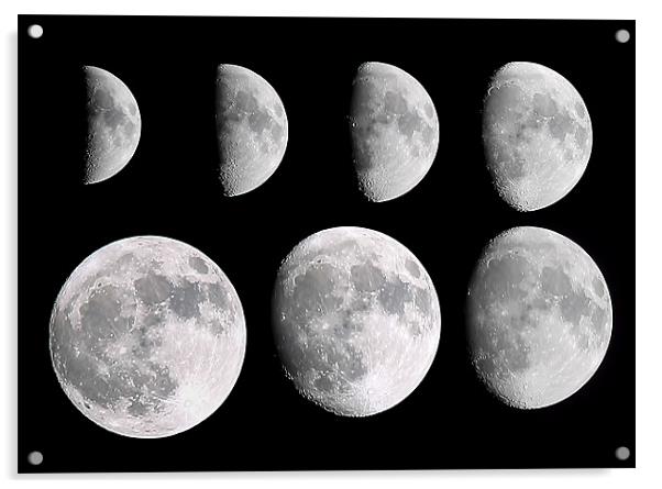 Moon Phases Acrylic by Joanne Wilde