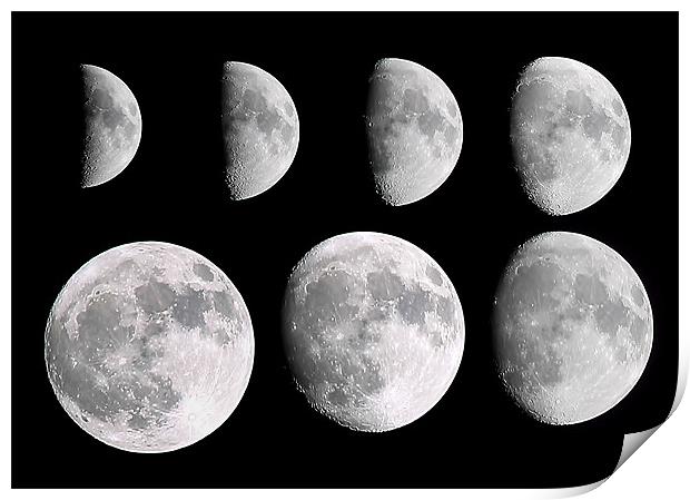 Moon Phases Print by Joanne Wilde