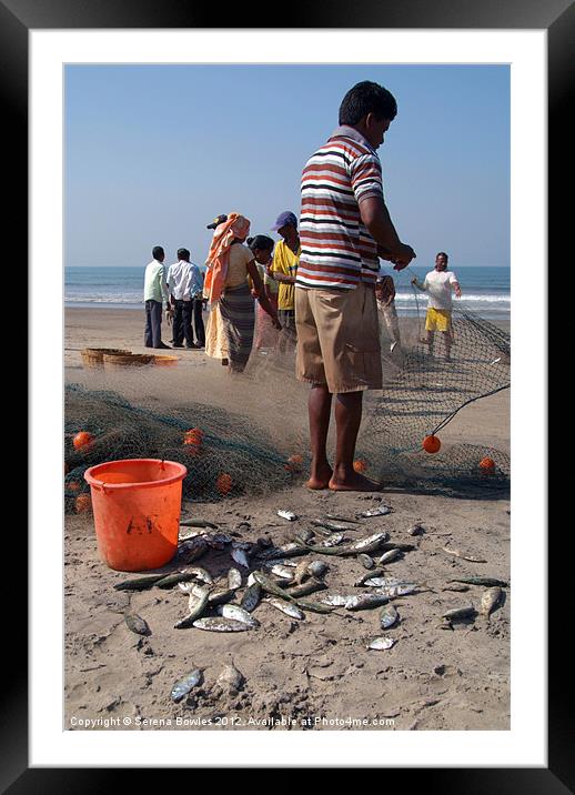 Fishermen Sorting the Catch Arambol Framed Mounted Print by Serena Bowles