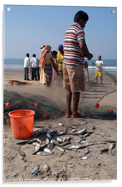 Fishermen Sorting the Catch Arambol Acrylic by Serena Bowles