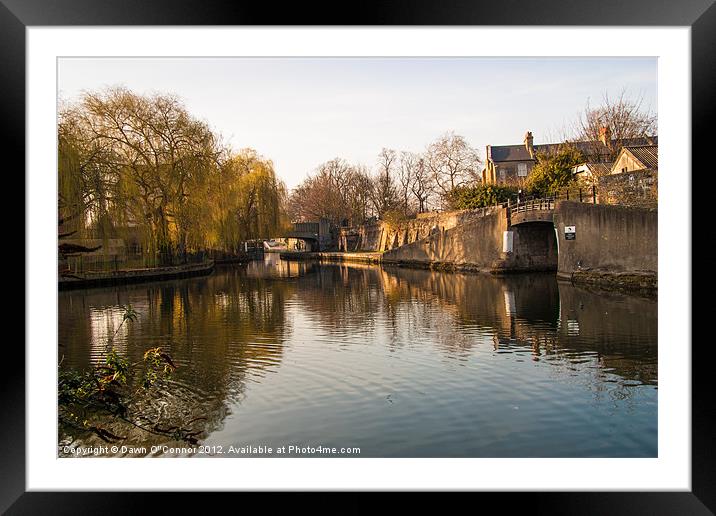 Regents Canal Framed Mounted Print by Dawn O'Connor