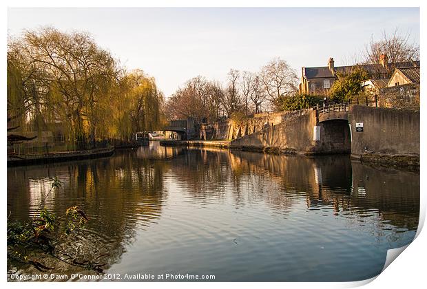 Regents Canal Print by Dawn O'Connor