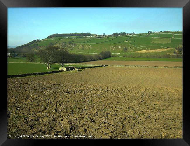 Ploughing in the Dale Framed Print by Debra Kelday