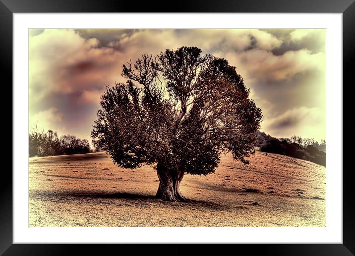 one tree hill Framed Mounted Print by Dean Messenger