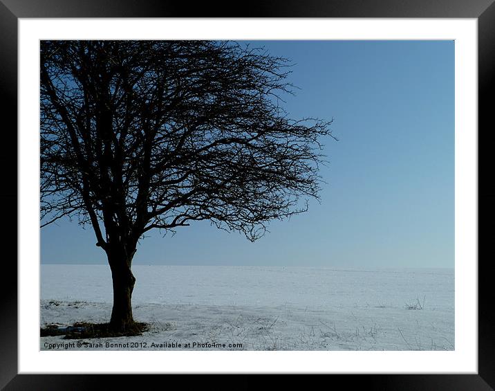 Tree in the snow Framed Mounted Print by Sarah Bonnot
