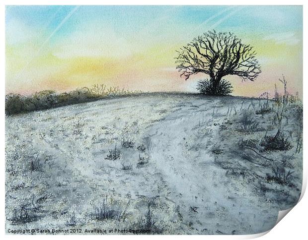 Snowy Oak Print by Sarah Bonnot