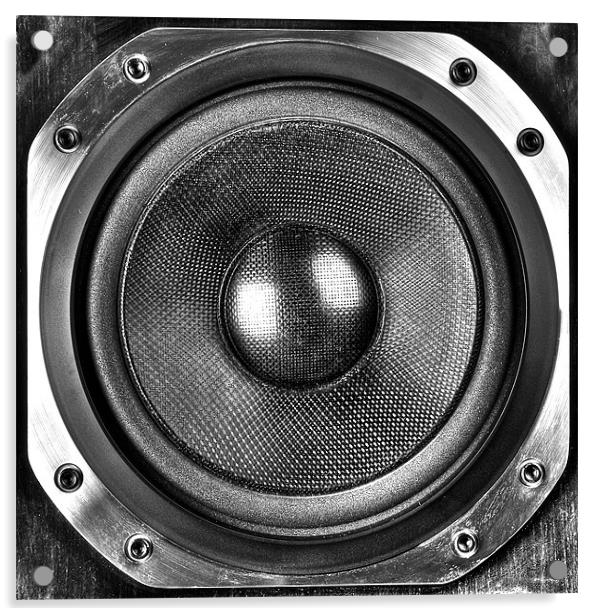Loudspeaker Acrylic by David Yeaman