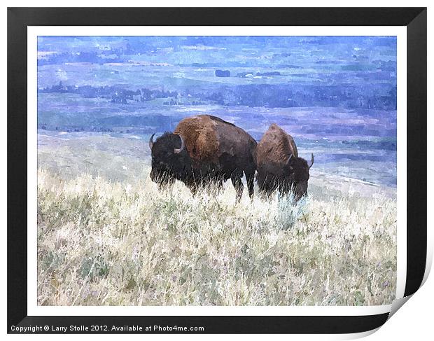 American bison Print by Larry Stolle