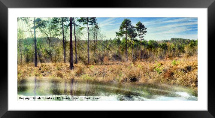 THE LAKE Framed Mounted Print by Rob Toombs