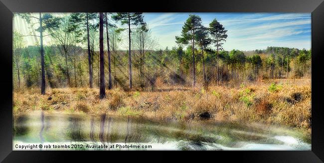 THE LAKE Framed Print by Rob Toombs