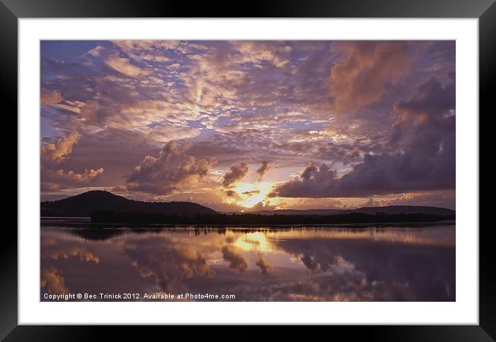 Pinkest reflections Framed Mounted Print by Bec Trinick