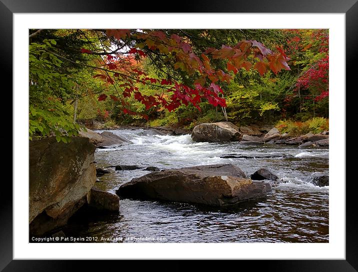 Ox Tongue River in the Fall Framed Mounted Print by Pat Speirs