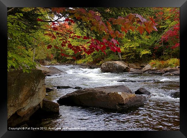 Ox Tongue River in the Fall Framed Print by Pat Speirs