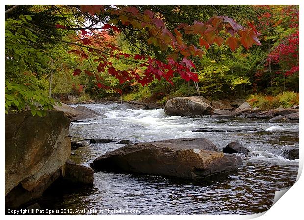 Ox Tongue River in the Fall Print by Pat Speirs