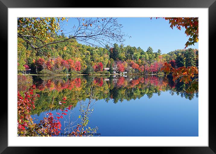 Pine Lake Canada Framed Mounted Print by Pat Speirs