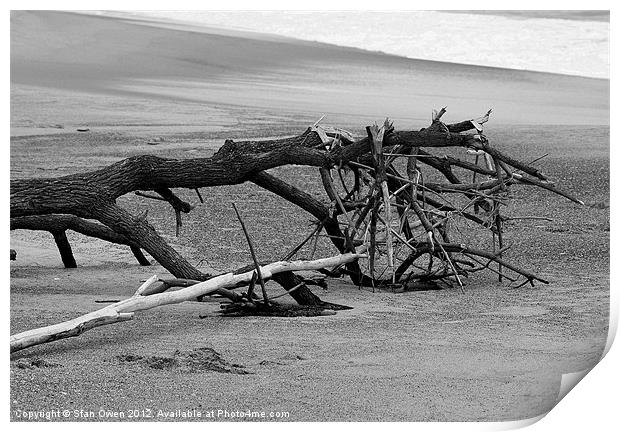 Beached Tree Print by Stan Owen
