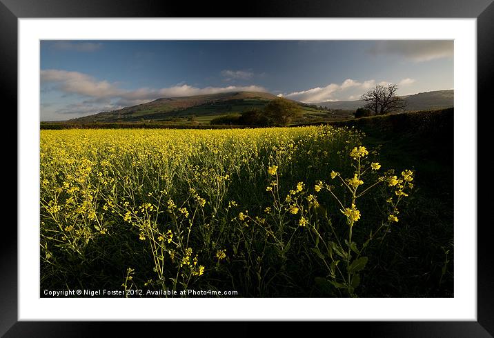Oil seed rape, Table Mountain Framed Mounted Print by Creative Photography Wales