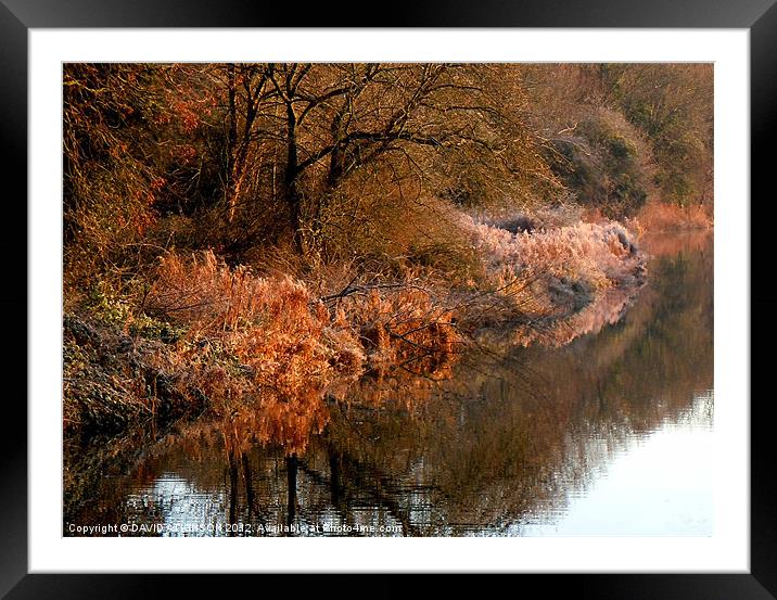 FROSTY RIVERBANK Framed Mounted Print by David Atkinson