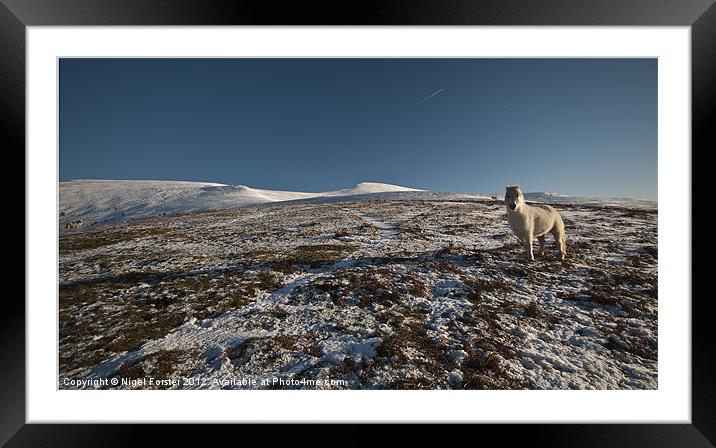 Mynydd Troed Pony Framed Mounted Print by Creative Photography Wales