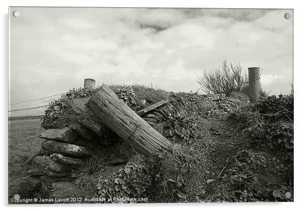 Bedruthan Fence post Acrylic by James Lavott