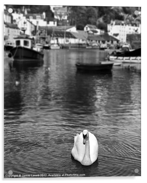 Polperro Swan Acrylic by James Lavott