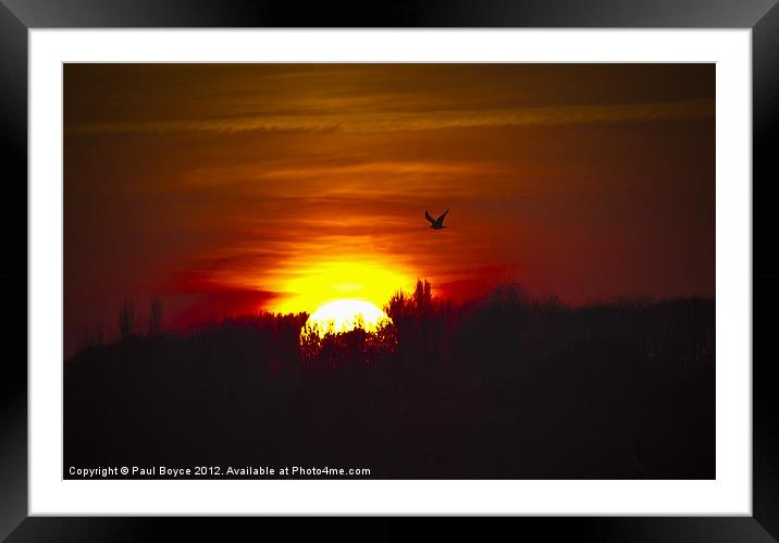 Flying Into The Sun Framed Mounted Print by Paul Boyce