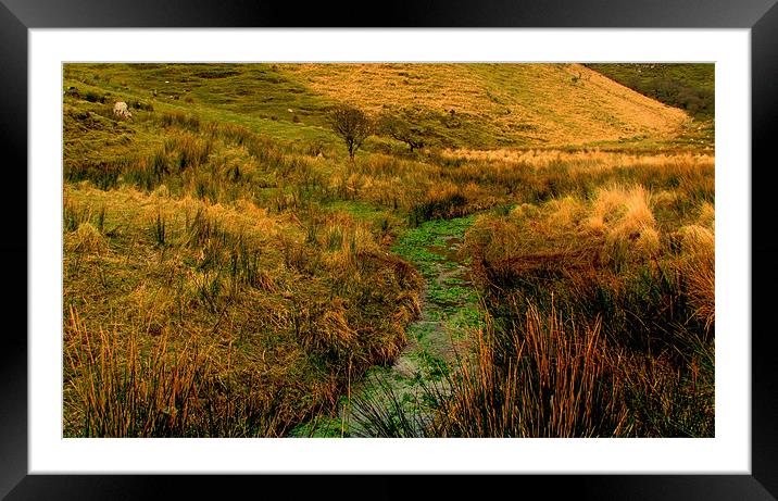 Green River Framed Mounted Print by barbara walsh